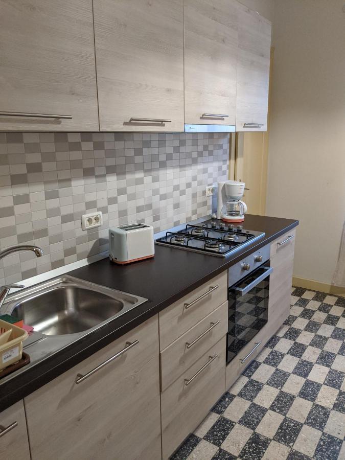 Cristian Apartment Near Old Town Timisoara Bagian luar foto