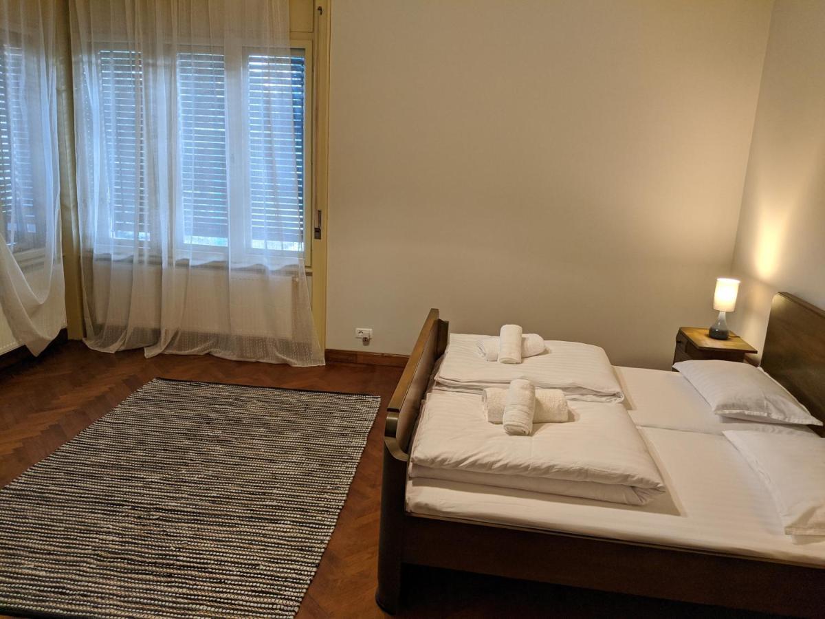 Cristian Apartment Near Old Town Timisoara Bagian luar foto