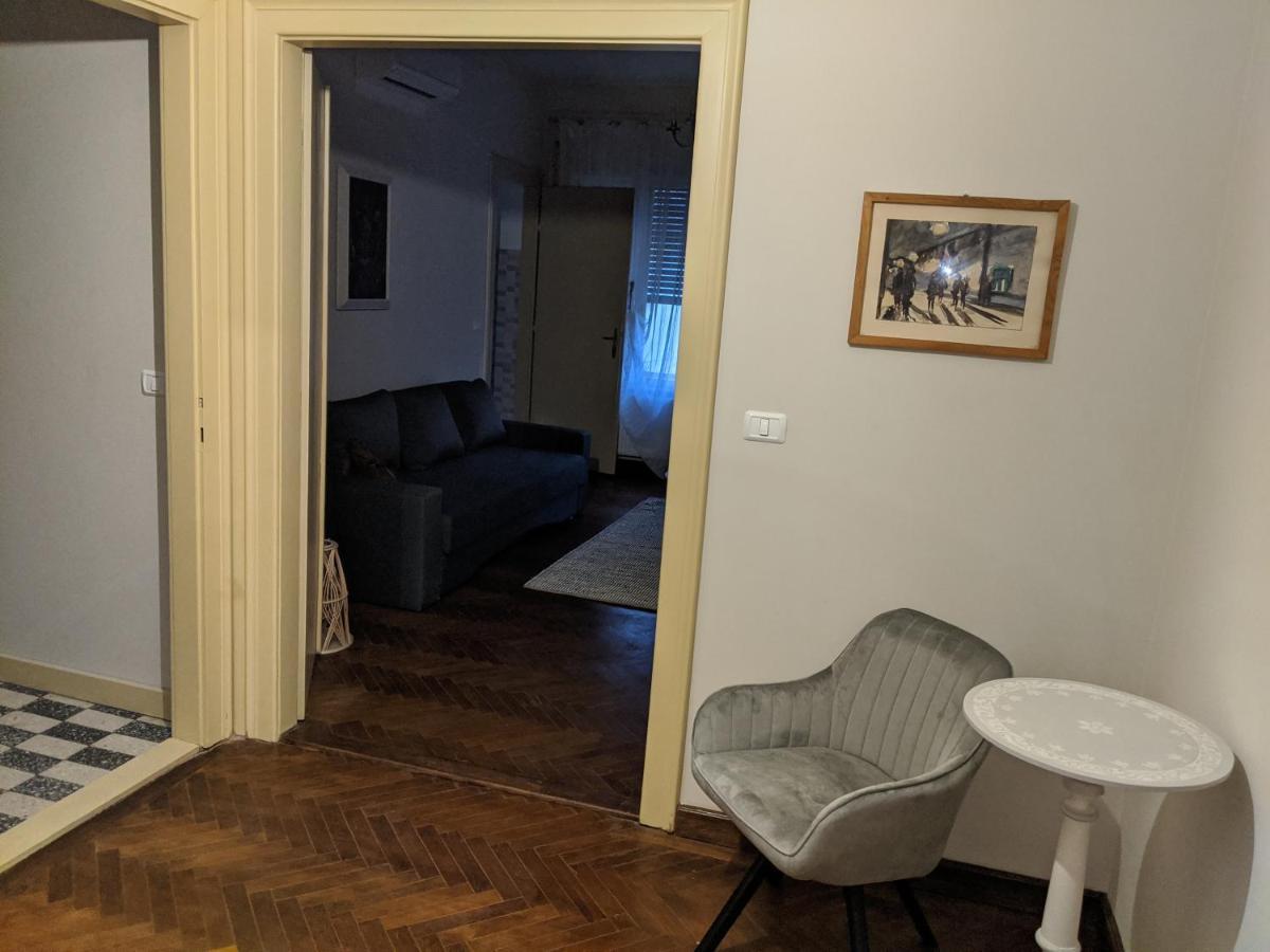 Cristian Apartment Near Old Town Timisoara Bagian luar foto