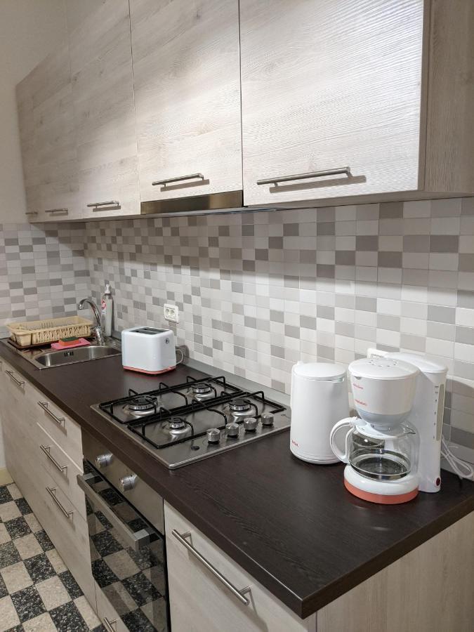 Cristian Apartment Near Old Town Timisoara Bagian luar foto