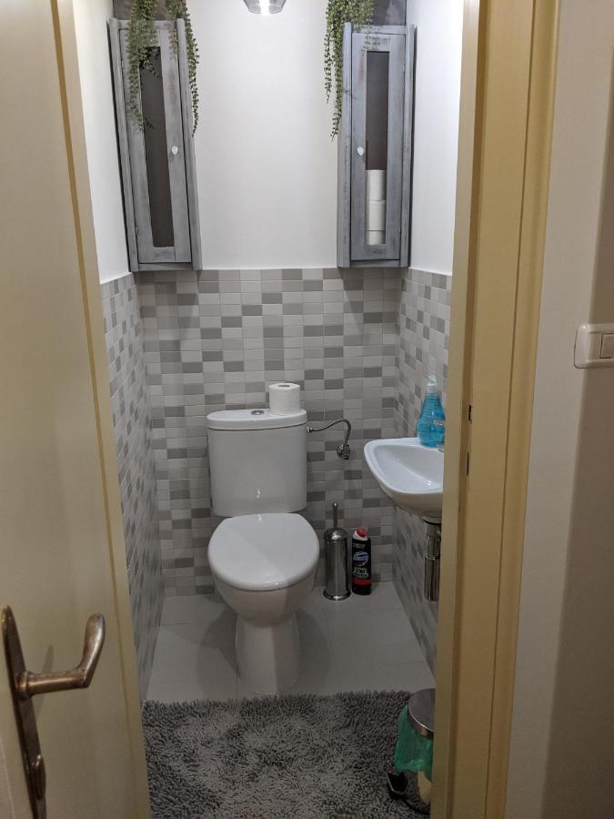 Cristian Apartment Near Old Town Timisoara Bagian luar foto
