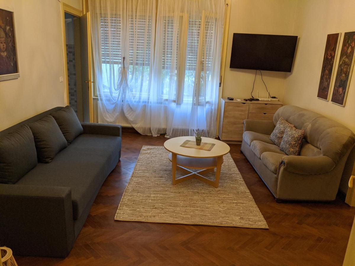 Cristian Apartment Near Old Town Timisoara Bagian luar foto